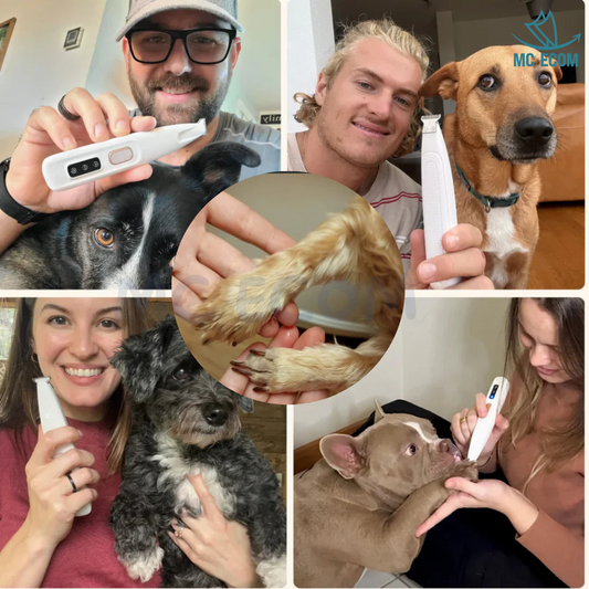 ToutouZen - Tondeuse pour animaux