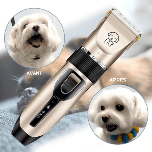 🤩Tondeuse professionnelle pour animaux + Set complet d'accessoires🤩 - En Stock - MC ECOM Tahiti