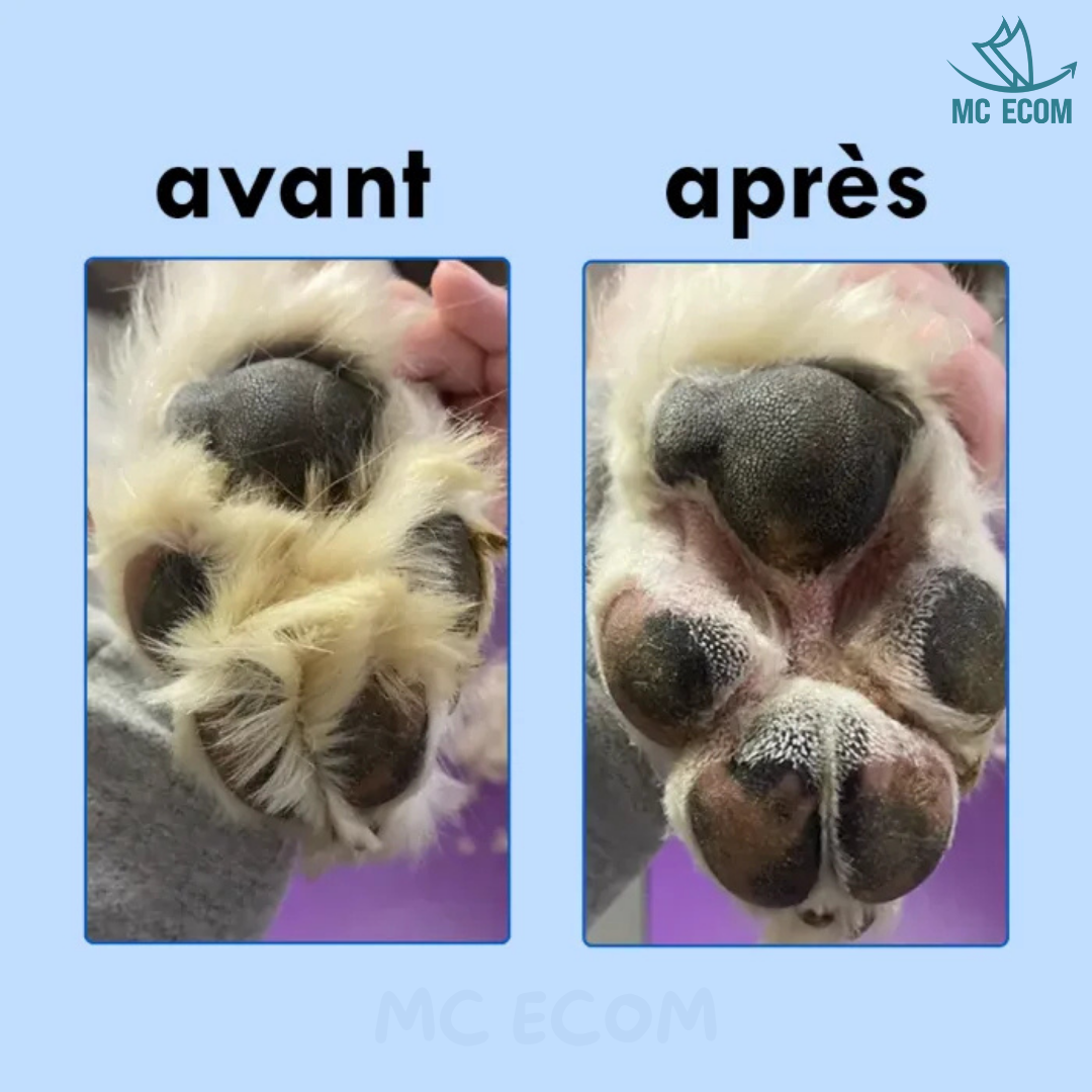 ToutouZen - Tondeuse pour animaux