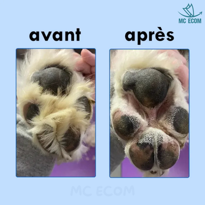 ToutouZen - Tondeuse pour animaux